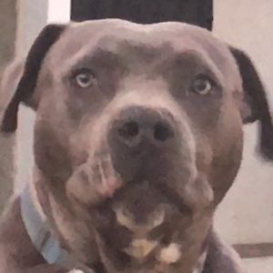 Meet your Posher, Veronica